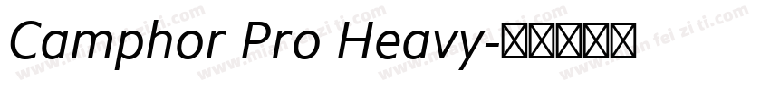 Camphor Pro Heavy字体转换